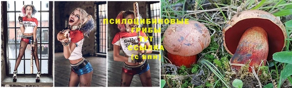 крисы Балахна