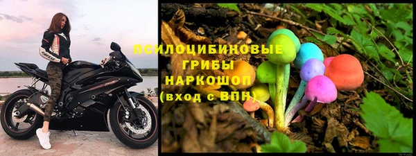 крисы Балахна